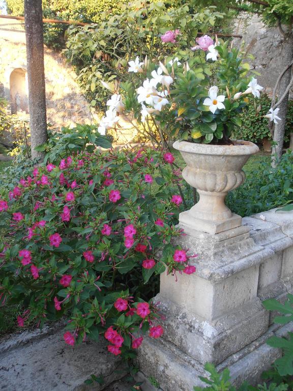 Le Seminaire Bed & Breakfast Roussas ภายนอก รูปภาพ